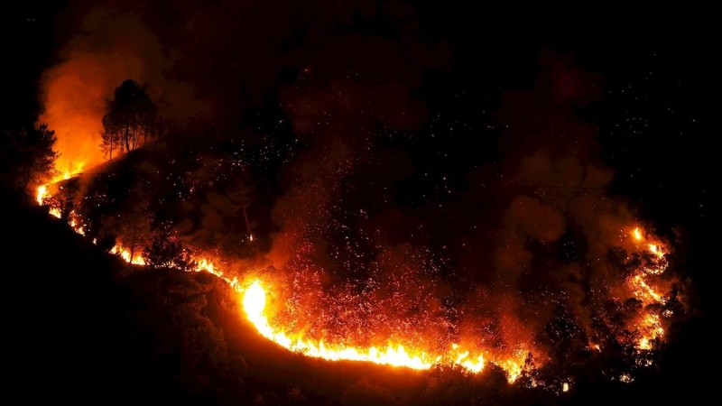 Incendio forestal declarado este lunes en la zona de Ribas de Sil, en Lugo.