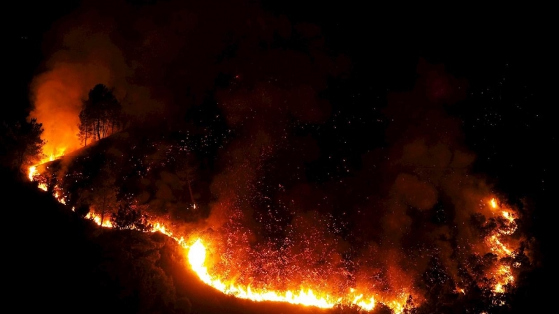 Incendio forestal declarado este lunes en la zona de Ribas de Sil, en Lugo.