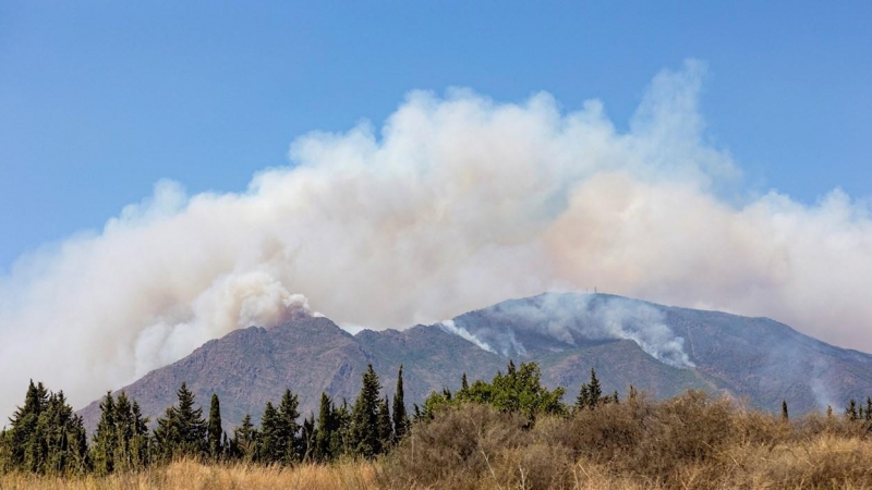 Columna de humo del incendio de Sierra Bermeja, desde el puesto de mando avanzado, que afecta a la localidad de Estepona (Málaga).