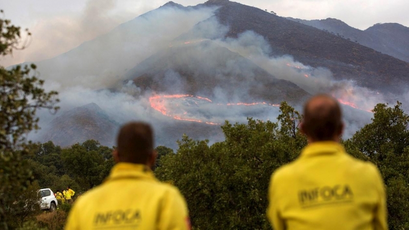 13/09/2021 El incendio de Sierra Bermeja deja decenas de animales carbonizados