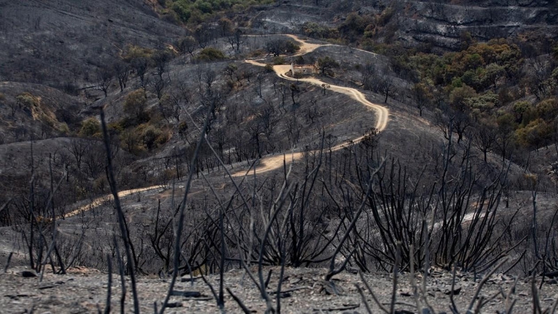 Incendio de Sierra Bermeja