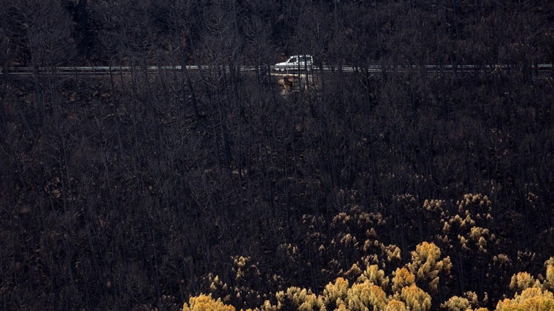 Incendio de Sierra Bermeja