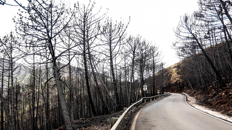 Incendio de Sierra Bermeja