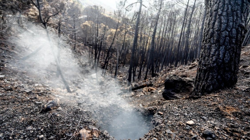 Incendio de Sierra Bermeja