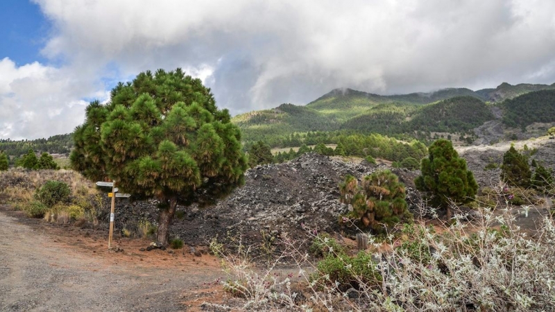 volcán La Palma