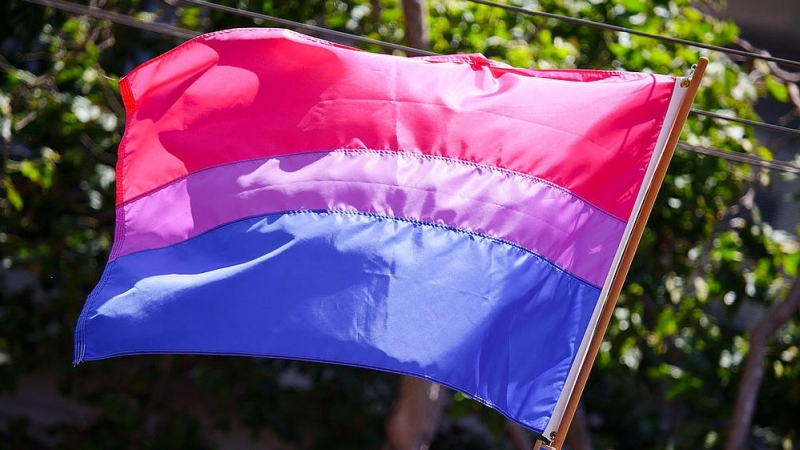 Bandera bisexual