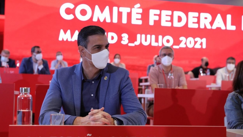 El presidente del Gobierno y secretario general del PSOE, Pedro Sánchez, durante la reunión del Comité Federal socialista del pasado julio. E.P./Isabel Infantes