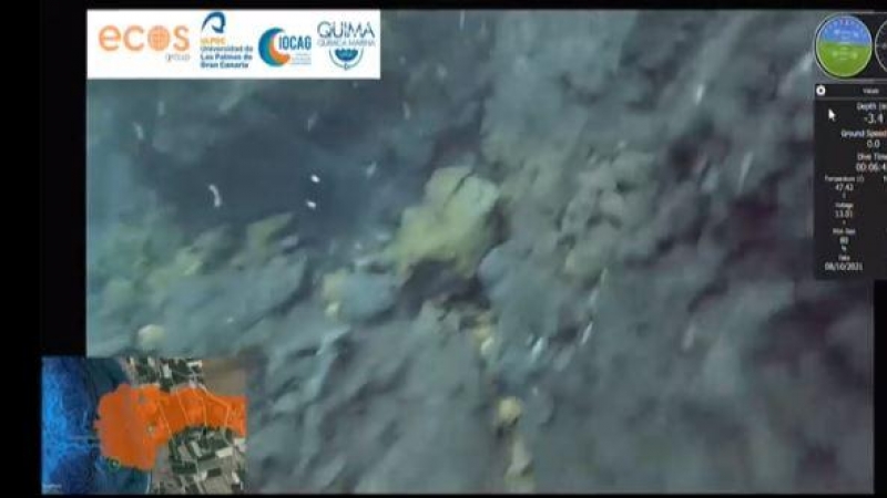 Las imágenes submarinas de la fajana de La Palma