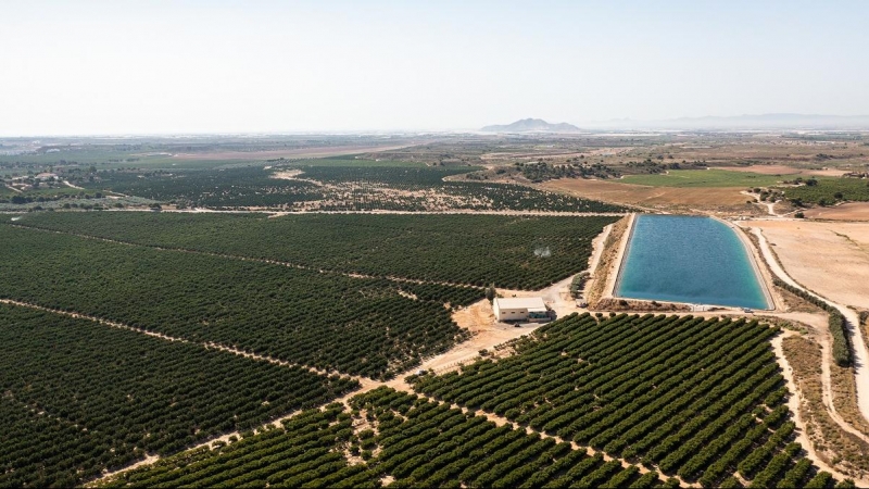 Cultivos en el Campo de Cartagena, Murcia.