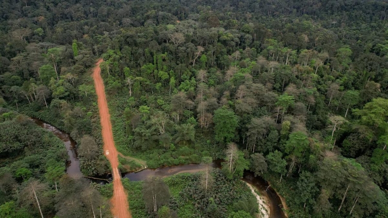 Una vista aérea muestra un camino forestal que atraviesa la selva tropical en la provincia de Nyanga, Gabón, el 14 de octubre de 2021.