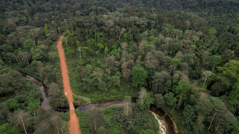 Una vista aérea muestra un camino forestal que atraviesa la selva tropical en la provincia de Nyanga, Gabón, el 14 de octubre de 2021.