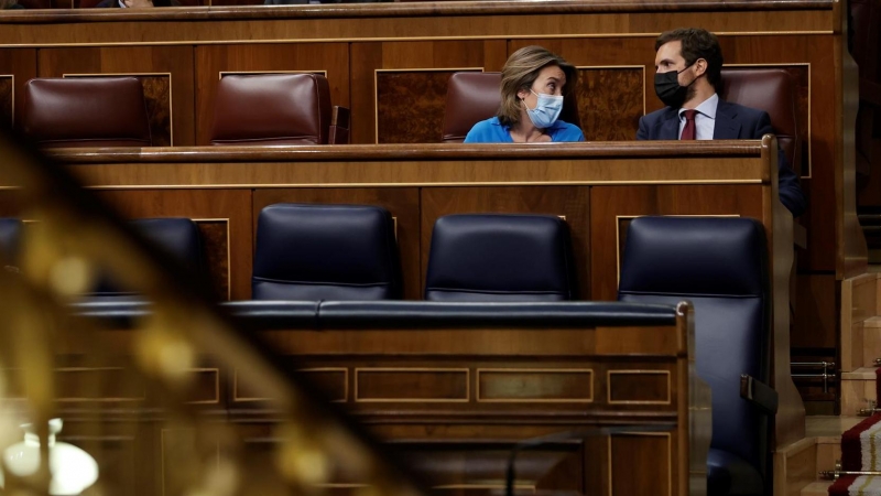 El líder del Partido Popular, Pablo Casado (d) y su portavoz parlamentaria, Cuca Gamarra (i) en el Congreso este miércoles.