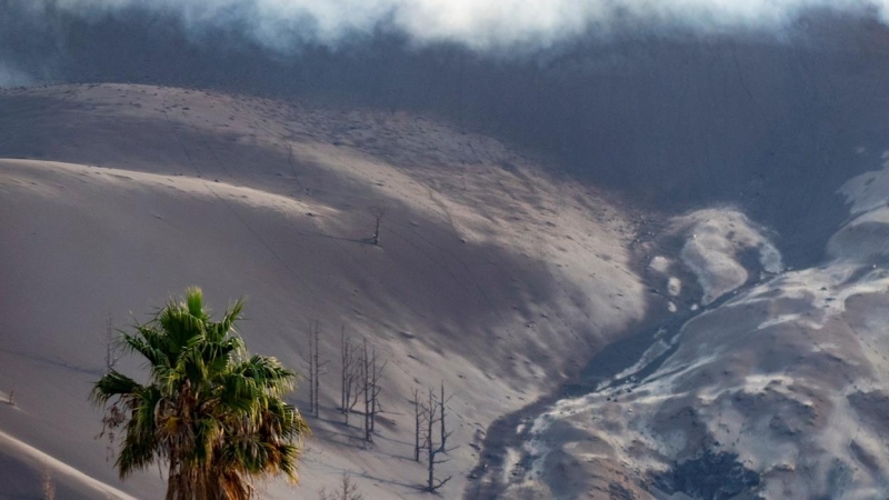 24/11/2021.- Los alrededores del cono del volcán de Cumbre Vieja, sufren los efectos de los gases, cenizas y altas temperaturas