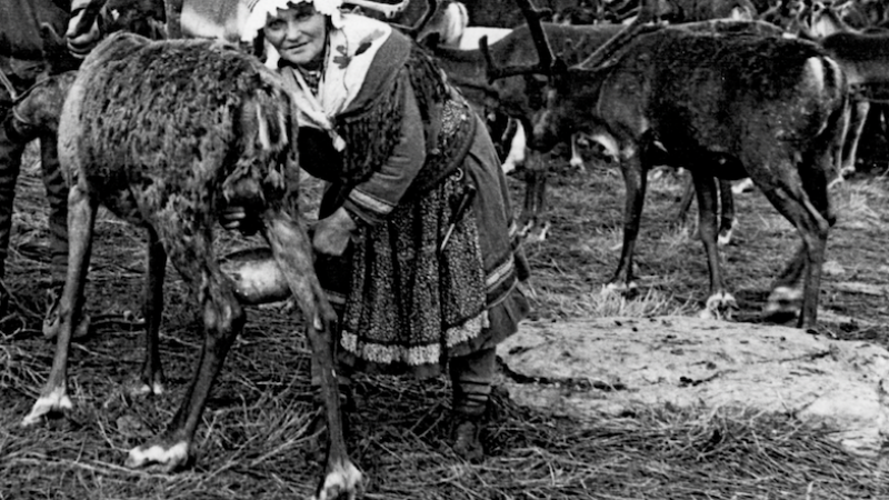 26/11/2021 Una mujer sami, en una estampa cotidiana