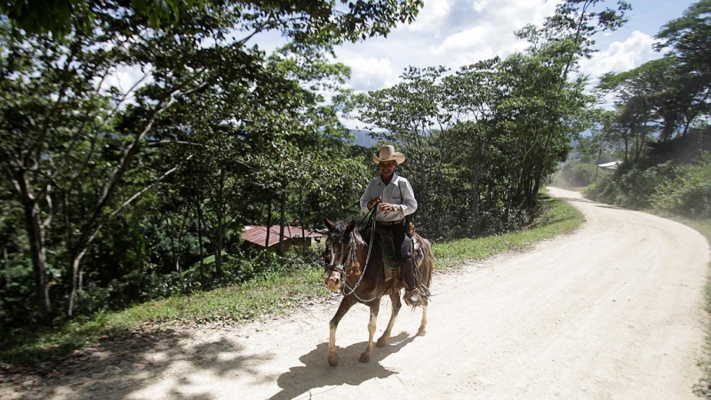 Un agricultor en una finca de El Laurel (Honduras).