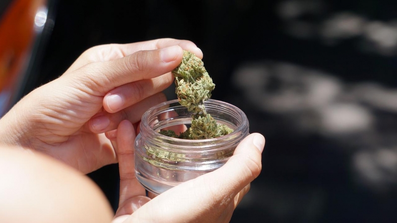 Malta ha legalizado este martes el cultivo y consumo de cannabis con fines recreativos
