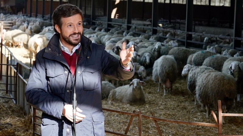 El presidente nacional del PP, Pablo Casado, en su visita a una quesería de Matadeón de los Oteros (León) este jueves.