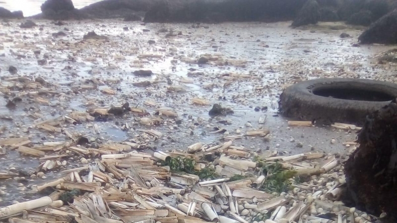 Bancos de marisco muerto en la playa de Subquintáns, en la ría de Arousa