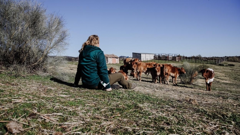 Una mujer observa el ganado en una finca de ganadería extensiva en Colmenar Viejo (Madrid). E.P./Carlos Luján