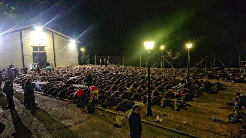 Imagen que muestra parte de la carnicería que tuvo lugar en la finca 'Los Posteruelos', en Villaviciosa de Córdoba, a 30 de enero de 2022.