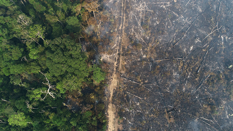 11/02/2022. Vista aérea de la quema forestal en el Amazonas.