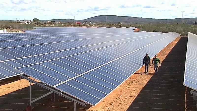 Un camp de plaques fotovoltaiques al País Valencià.