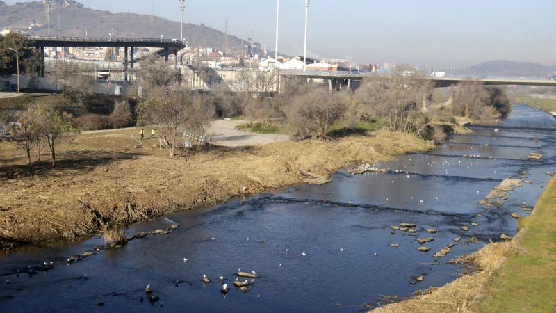 26/01/2022 - El tram del riu Besòs on es farà el projecte de renaturalització.