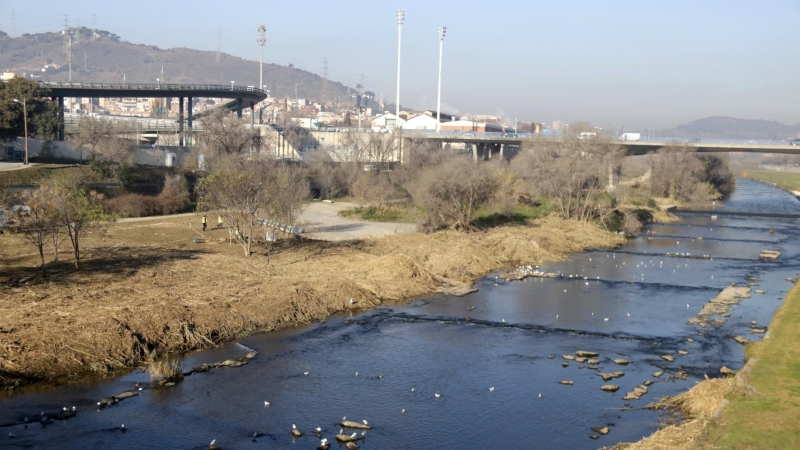 26/01/2022 - El tram del riu Besòs on es farà el projecte de renaturalització.