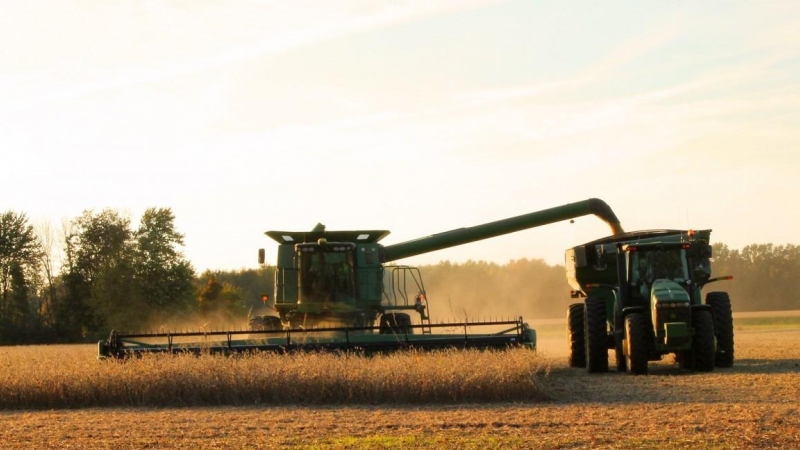 La agricultura española resulta claramente insuficiente para alimentar a la cabaña ganadera del país.