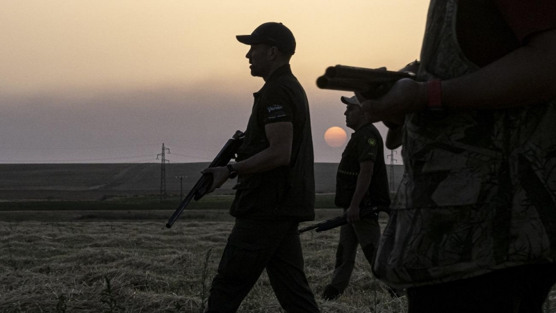 Varios cazadores, durante una jornada de caza en Olmedo, Castilla y León.