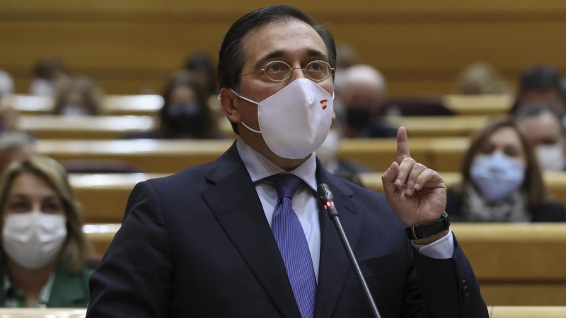 El ministro de Exteriores, José Manuel Albares, interviene durante la sesión de control al Gobierno en el pleno de este martes en el Senado.