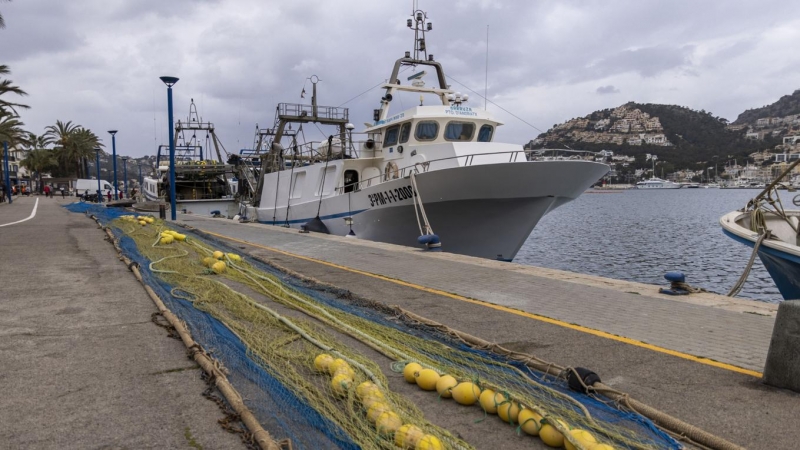 Barcos de pesca amarrados este sábado 20 en el Port de Andratx (Mallorca).