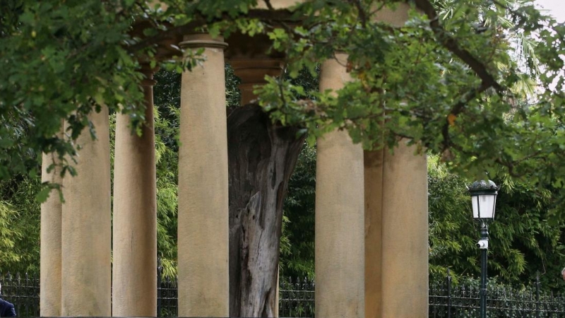 (5/09/2020) El árbol de Gernika, símbolo de las libertades vascas donde todos los lehendakaris han jurado el cargo, durante la toma de posesión de Iñigo Urkullu en septiembre de 2020.