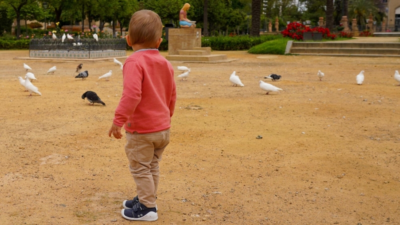 Un niño juega en un parque de Sevilla.