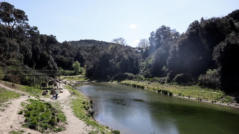 El pantano de Vallvidrera, desconocido por muchos, es uno de los parajes naturales más bonitos de la zona.
