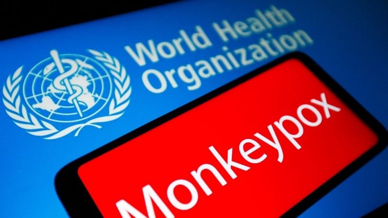 Monkeypox: Qué dice la OMS sobre la viruela del mono | Público