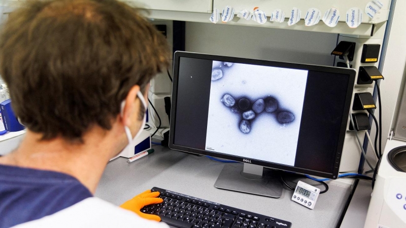 Un empleado de la compañía de vacunas Bavarian Nordic muestra una imagen de un virus en un laboratorio en Martinsried, cerca de Munich, Alemania, este 24 de mayo.