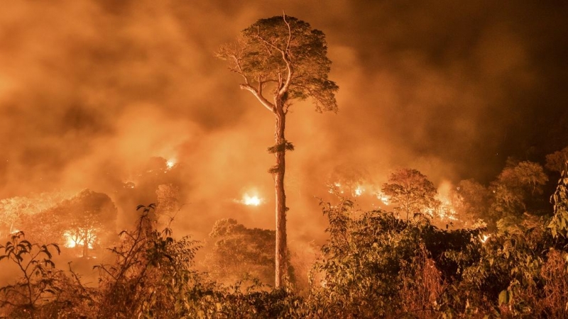 Amazonas en llamas.