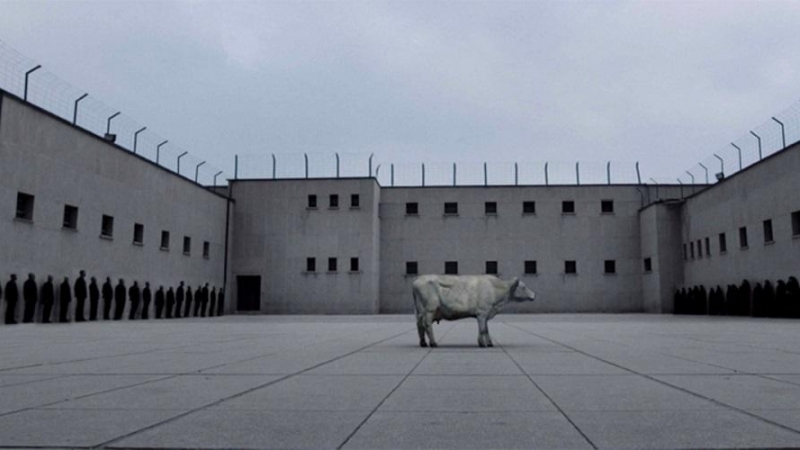 31/05/2022. Una vaca en las ceremonias religiosas es un sacrificio, en la película es una metáfora de un inocente condenado a muerte