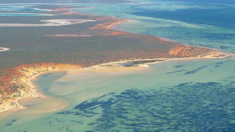 (1/6/2022) Vista aérea de la Bahía de Shark (Australia).