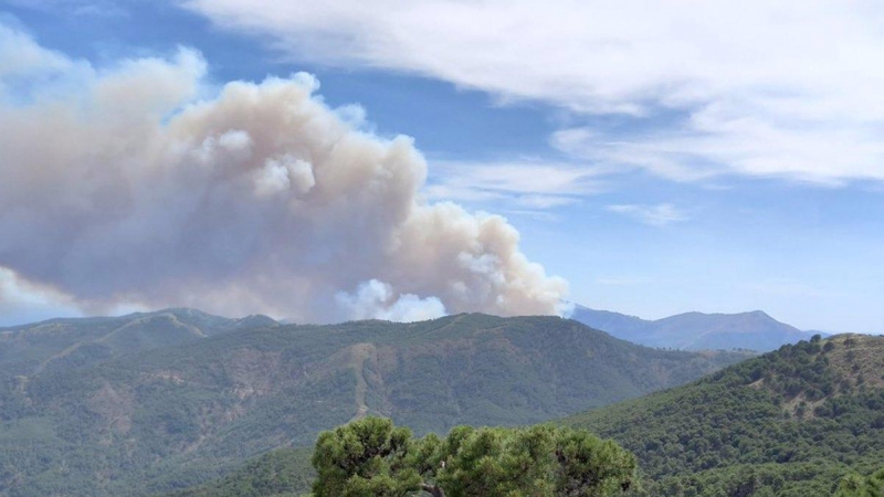 08/06/2022 Vista del incendio declarado en pleno corazón de Sierra Bermeja, a 8 de junio de 2022, en Pujerra, en Málaga.