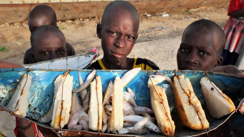 Niños cogiendo peces