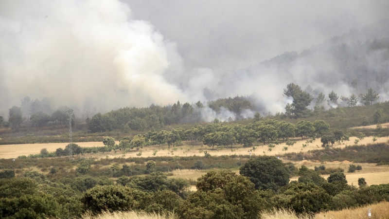 El incendio forestal declarado el miércoles por la noche por los rayos de una tormenta seca en la reserva de la Sierra de la Culebra, en la provincia de Zamora