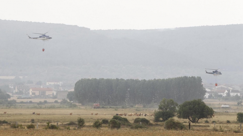 El incendio forestal en la reserva de la Sierra de la Culebra