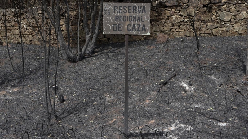 (19/6/2022) Vista general de los daños producidos por el incendio en Villardeciervos (Zamora), en la sierra de la Culebra.