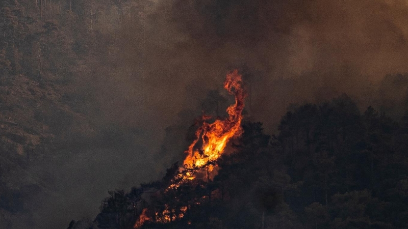 (19/6/22) Llamas de fuego en el incendio de Peramola el 19 de junio.