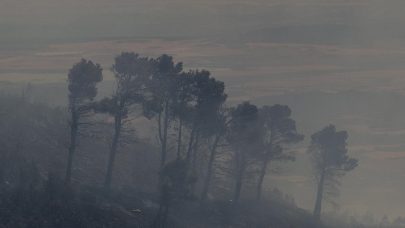 (19/6/22) Incendio en Uxue (Navarra)