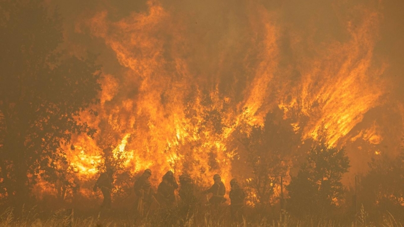 Efectivos de bomberos durante el incendio de la Sierra de la Culebra, a 18 de junio de 2022.