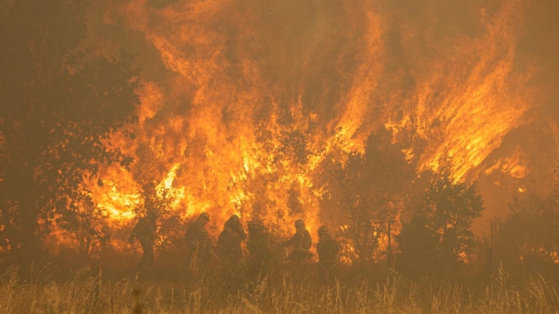 Efectivos de bomberos durante el incendio de la Sierra de la Culebra, a 18 de junio de 2022.