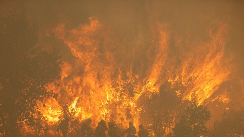 Efectivos de bomberos durante el incendio de la Sierra de la Culebra, a 18 de junio de 2022.